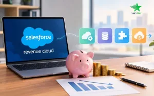 How-to-Reduce-Salesforce-Revenue-Cloud-Cost-Alternative-Ways